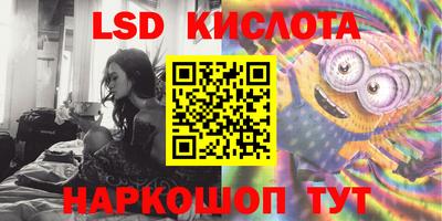 твердый Новозыбков