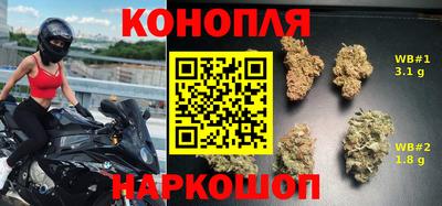 мдпв Обь
