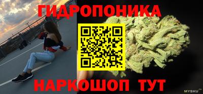 дурь Новодвинск