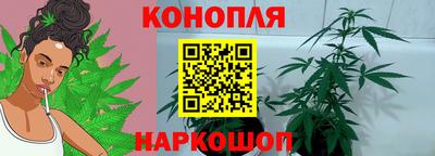 твердый Новозыбков